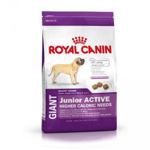Royal Canin Giant Junior Active сухой корм для активных щенков гигантских пород с 8 мес. 15 кг